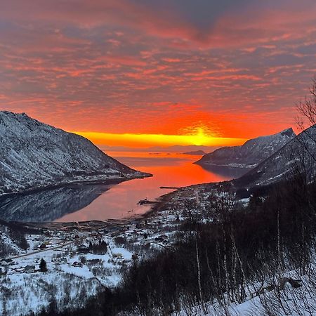 Leilighet I Rorbu Pa Kaldfarnes - Yttersia Senja エクステリア 写真