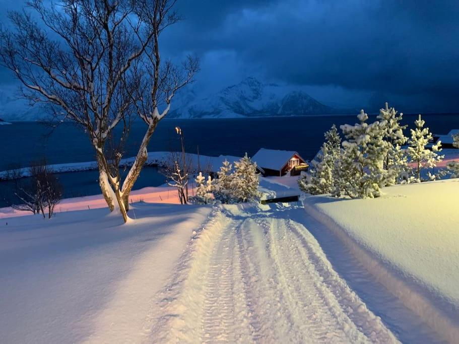 Leilighet I Rorbu Pa Kaldfarnes - Yttersia Senja エクステリア 写真